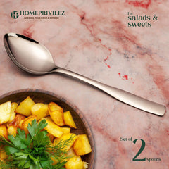 "Safari" Stainless Steel Serving Spoon(Set of 4 pcs)