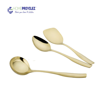 Combo 2 (PVD Gold Serving Tool 3 pcs & Aster cutlery 9Pcs)-Set of 12 pcs